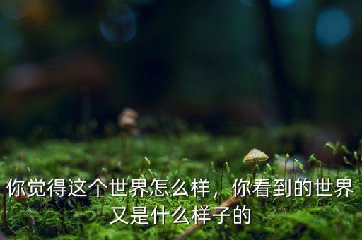 你覺得這個世界怎么樣，你看到的世界又是什么樣子的