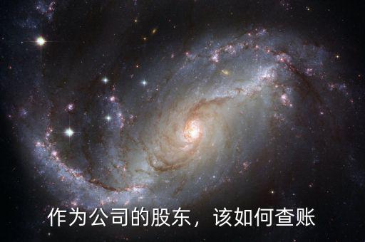 作為公司的股東，該如何查賬