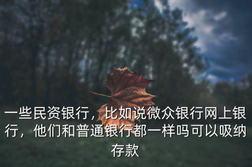 一些民資銀行，比如說微眾銀行網(wǎng)上銀行，他們和普通銀行都一樣嗎可以吸納存款