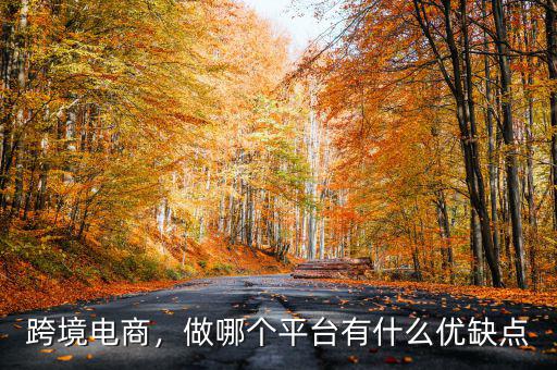 跨境電商，做哪個(gè)平臺(tái)有什么優(yōu)缺點(diǎn)