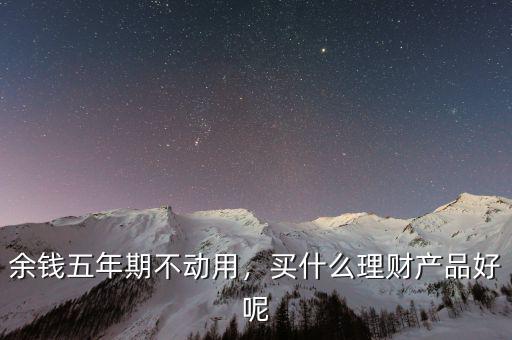 余錢(qián)五年期不動(dòng)用，買(mǎi)什么理財(cái)產(chǎn)品好呢