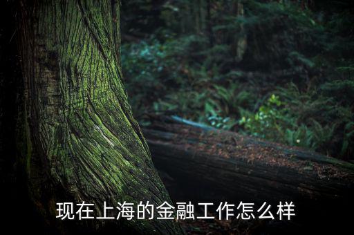 上?；バ沤鹑谠趺礃?上海立信會計金融學院怎么樣
