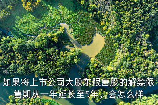 大股東限售股質(zhì)押對股票什么影響,大股東股權質(zhì)押
