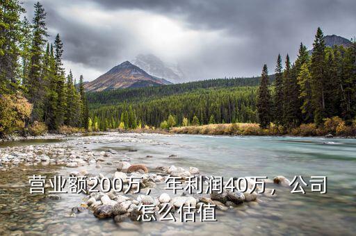 營業(yè)額200萬，年利潤40萬，公司怎么估值