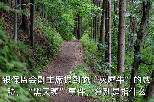 銀保監(jiān)會副主席提到的“灰犀?！钡耐{，“黑天鵝”事件，分別是指什么