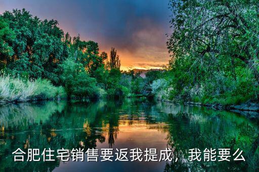 合肥住宅銷(xiāo)售要返我提成，我能要么