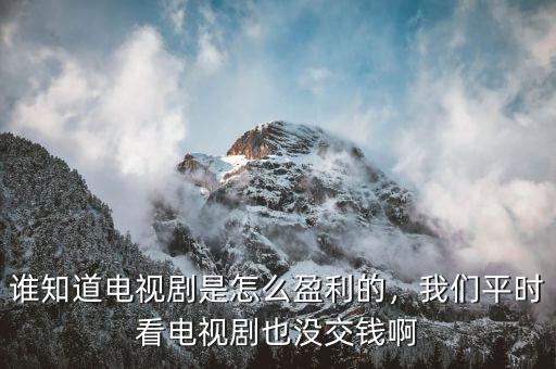 誰(shuí)知道電視劇是怎么盈利的，我們平時(shí)看電視劇也沒(méi)交錢啊