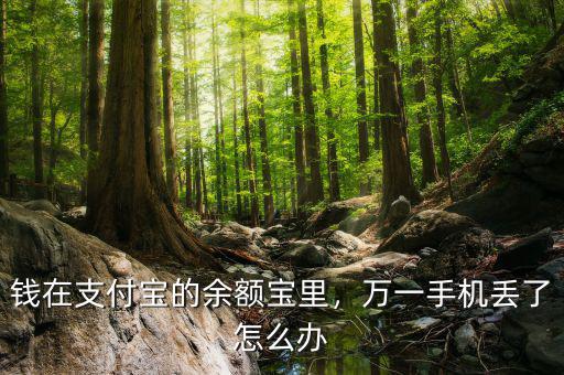 錢在支付寶的余額寶里，萬一手機丟了怎么辦