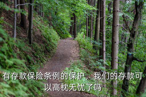 有存款保險(xiǎn)條例的保護(hù)，我們的存款可以高枕無(wú)憂(yōu)了嗎