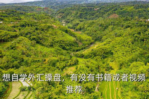 想自學(xué)外匯操盤，有沒(méi)有書(shū)籍或者視頻推薦