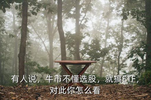 有人說，牛市不懂選股，就搞ETF，對此你怎么看