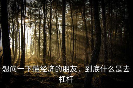 想問(wèn)一下懂經(jīng)濟(jì)的朋友，到底什么是去杠桿