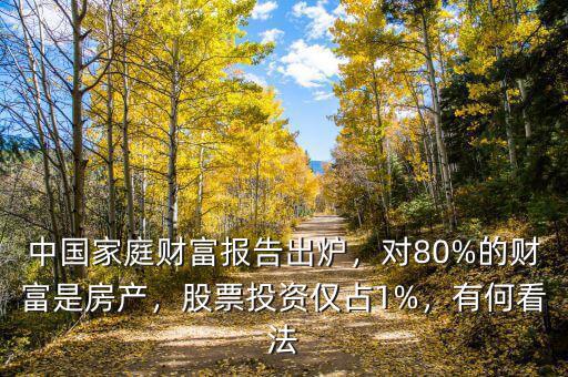 中國家庭財(cái)富報(bào)告出爐，對80%的財(cái)富是房產(chǎn)，股票投資僅占1%，有何看法