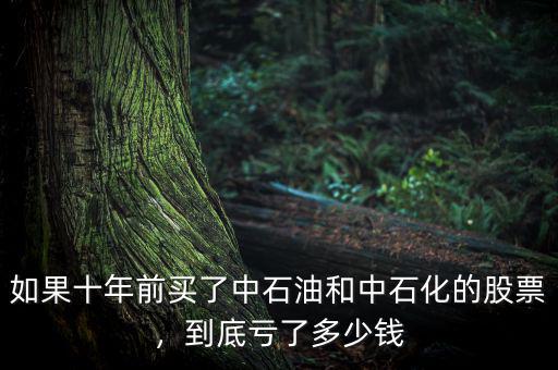 如果十年前買了中石油和中石化的股票，到底虧了多少錢