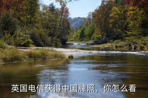 英國電信獲得中國牌照，你怎么看