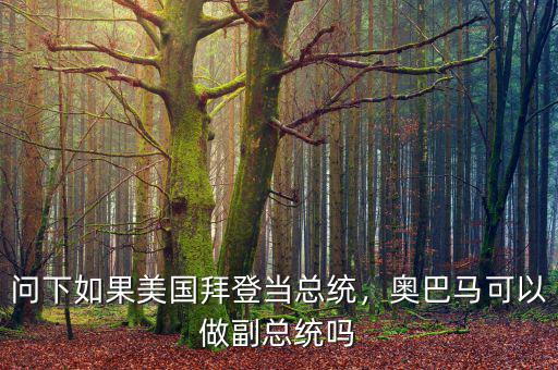 問下如果美國拜登當(dāng)總統(tǒng)，奧巴馬可以做副總統(tǒng)嗎