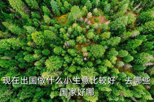 現(xiàn)在出國做什么小生意比較好，去哪些國家好哪