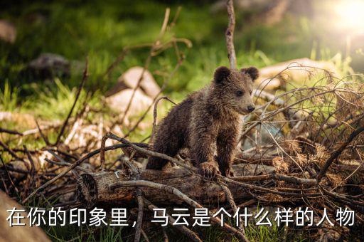在你的印象里，馬云是個什么樣的人物