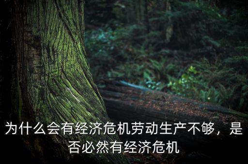 為什么會(huì)有經(jīng)濟(jì)危機(jī)勞動(dòng)生產(chǎn)不夠，是否必然有經(jīng)濟(jì)危機(jī)