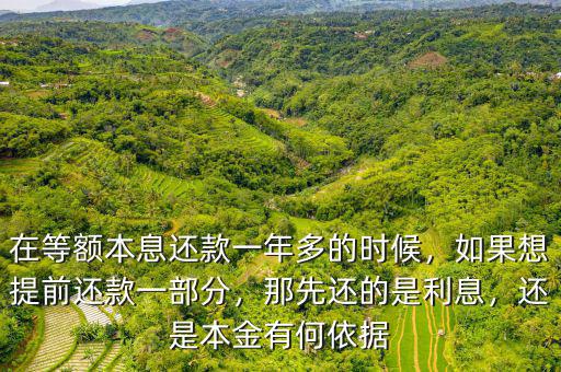 在等額本息還款一年多的時候，如果想提前還款一部分，那先還的是利息，還是本金有何依據(jù)