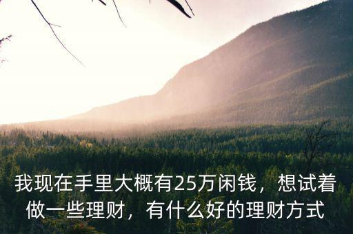 我現(xiàn)在手里大概有25萬(wàn)閑錢(qián)，想試著做一些理財(cái)，有什么好的理財(cái)方式