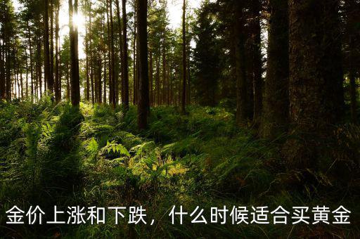 金價(jià)上漲和下跌，什么時(shí)候適合買黃金
