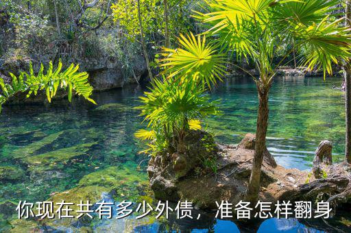 你現(xiàn)在共有多少外債，準(zhǔn)備怎樣翻身