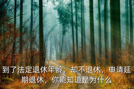 到了法定退休年齡，卻不退休，申請延期退休，你能知道是為什么