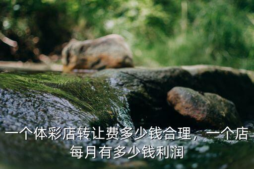 一個體彩店轉讓費多少錢合理，一個店每月有多少錢利潤