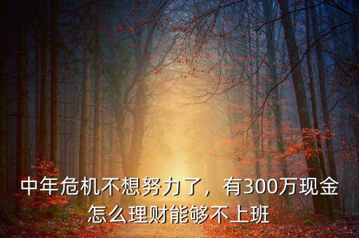 中年危機(jī)不想努力了，有300萬現(xiàn)金怎么理財(cái)能夠不上班