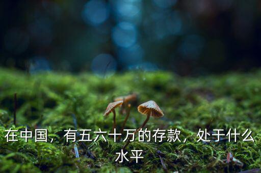 在中國，有五六十萬的存款，處于什么水平