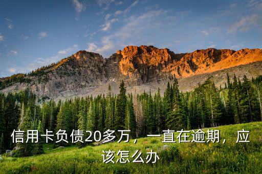 信用卡負(fù)債20多萬，一直在逾期，應(yīng)該怎么辦