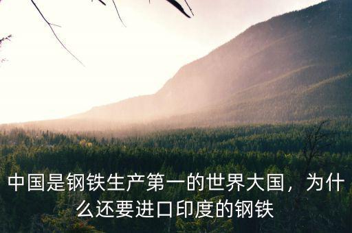 中國(guó)是鋼鐵生產(chǎn)第一的世界大國(guó)，為什么還要進(jìn)口印度的鋼鐵