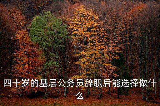 公務(wù)員下海做什么,現(xiàn)在又擠破頭考公務(wù)員