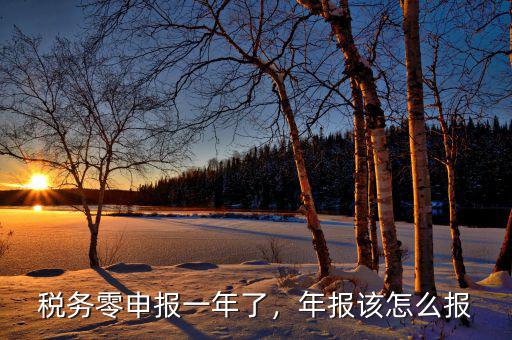 稅務(wù)零申報(bào)一年了，年報(bào)該怎么報(bào)