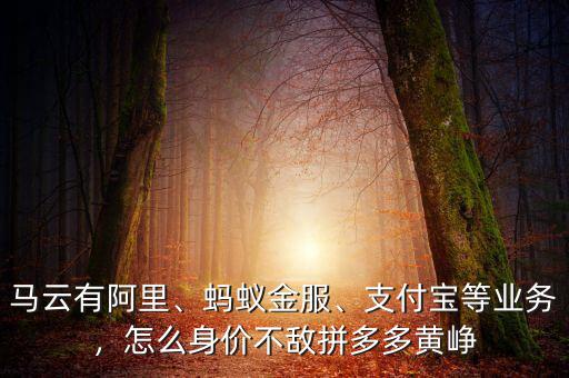 馬云有阿里、螞蟻金服、支付寶等業(yè)務(wù)，怎么身價(jià)不敵拼多多黃崢