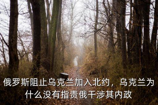 俄羅斯阻止烏克蘭加入北約，烏克蘭為什么沒(méi)有指責(zé)俄干涉其內(nèi)政