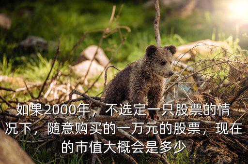 如果2000年，不選定一只股票的情況下，隨意購買的一萬元的股票，現(xiàn)在的市值大概會是多少