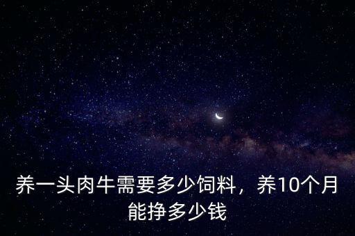 養(yǎng)一頭肉牛需要多少飼料，養(yǎng)10個(gè)月能掙多少錢(qián)