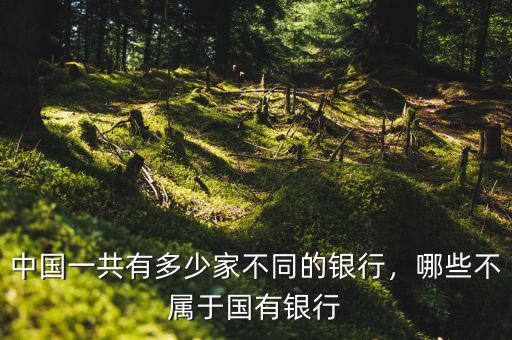 中國(guó)一共有多少家不同的銀行，哪些不屬于國(guó)有銀行