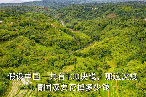 假設中國一共有100塊錢，那這次疫情國家要花掉多少錢