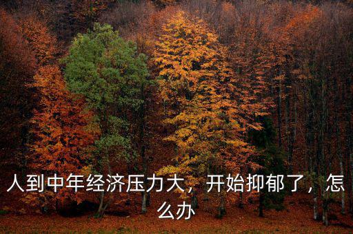 人到中年經(jīng)濟壓力大，開始抑郁了，怎么辦
