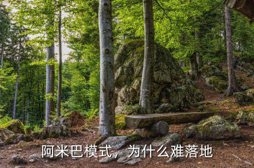 阿米巴模式，為什么難落地