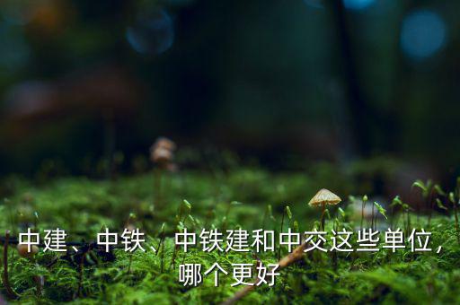 中建、中鐵、中鐵建和中交這些單位，哪個(gè)更好