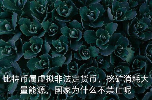 比特幣屬虛擬非法定貨幣，挖礦消耗大量能源，國家為什么不禁止呢