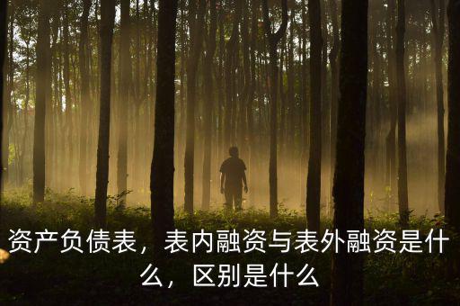資產(chǎn)負(fù)債表，表內(nèi)融資與表外融資是什么，區(qū)別是什么