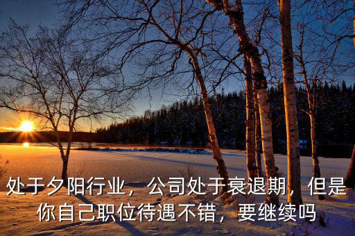 處于夕陽行業(yè)，公司處于衰退期，但是你自己職位待遇不錯，要繼續(xù)嗎