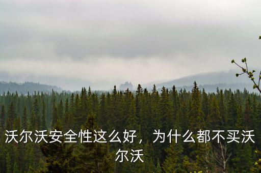 沃爾沃安全性這么好，為什么都不買沃爾沃