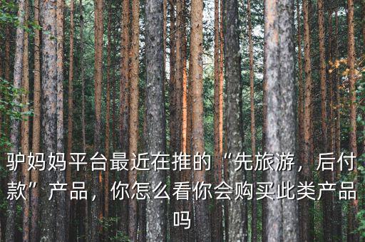驢媽媽平臺最近在推的“先旅游，后付款”產(chǎn)品，你怎么看你會購買此類產(chǎn)品嗎