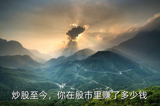炒股至今，你在股市里賺了多少錢